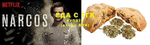 мет Алексин