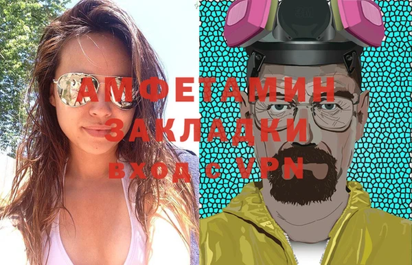мет Алексин