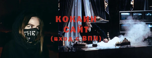 мет Алексин