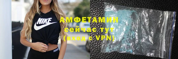 мет Алексин